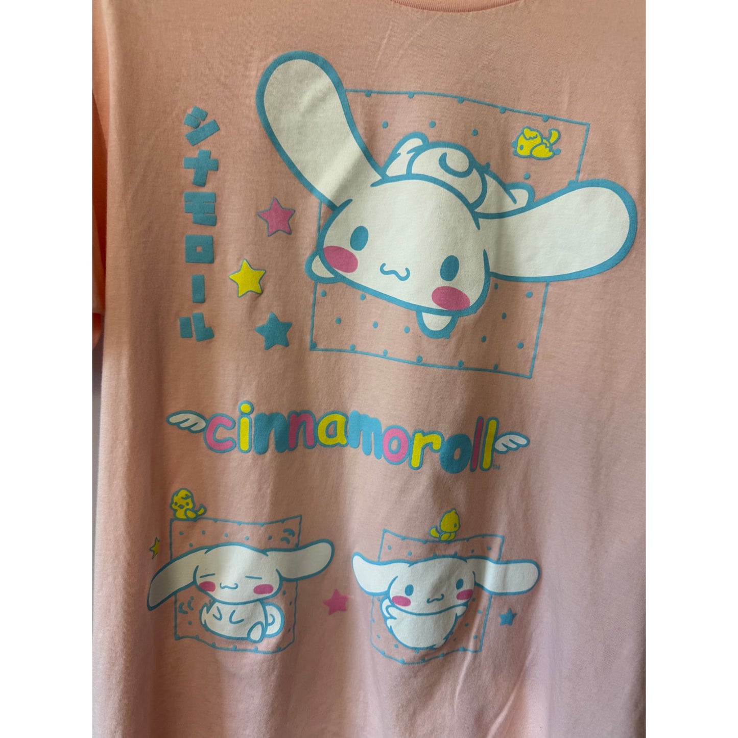 Cinnamoroll by Sanrio Pink Graphic T-Shirt - Size XL